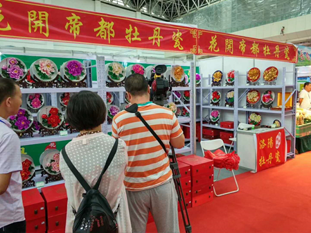 甘肅寧夏參加河州牡丹文化月 甘肅寧夏參加河州牡丹文化月